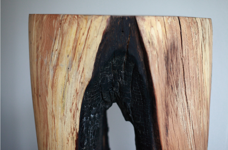 Die Baumbank, le travail du bois du designer Kaspar Hamacher